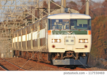 總武本線櫻花物井JR東日本185系B5編組（大宮）臨時 117550469