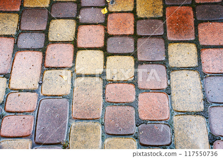 Wet Pavement. Sidewalk during Rain. 117550736