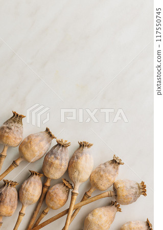 Dry poppy head on kitchen table. Top view. Dry poppy head on kitchen table. Top view. 117550745