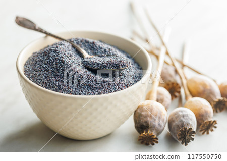 Dry poppy head and poppy seed in bowl on kitchen table. Dry poppy head and poppy seed in bowl on kitchen table. 117550750