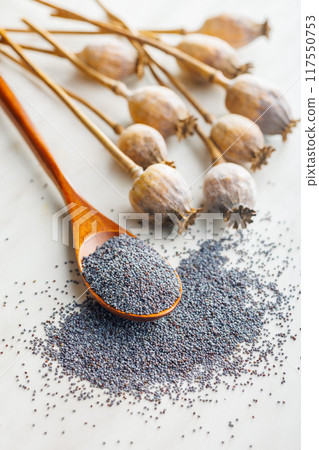 Dry poppy head and poppy seed in spoon on kitchen table. Dry poppy head and poppy seed in spoon on kitchen table. 117550753