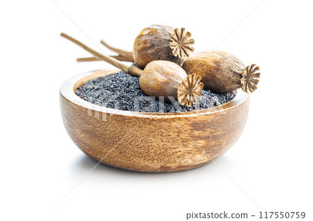 Dry poppy head and poppy seed in bowl isolated on white background. 117550759