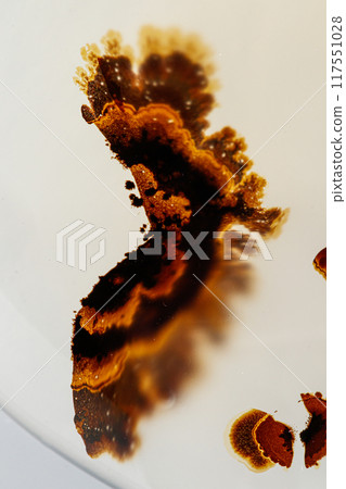 macro mineral stone Agata muschiata on a white background 117551028