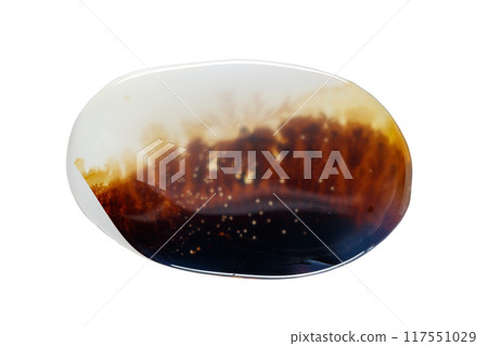 macro mineral stone Agata muschiata on a white background macro mineral stone Agata muschiata on a white background 117551029