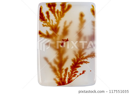 macro mineral stone Agata muschiata on a white background macro mineral stone Agata muschiata on a white background 117551035