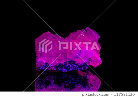 macro mineral stone calcite under ultraviolet light on a black background macro mineral stone calcite under ultraviolet light on a black background 117551120