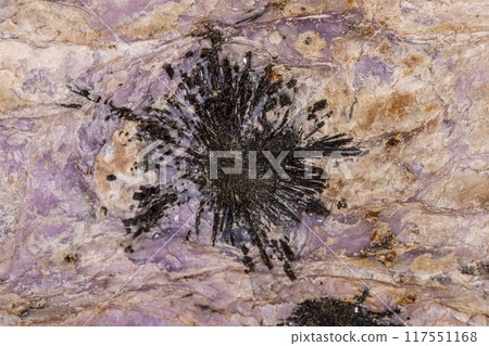 Macro stone Aegirine in charoite on white background 117551168