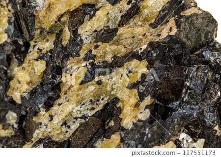 Macro of a mineral stone Vesuvianite on a white background Macro of a mineral stone Vesuvianite on a white background 117551173
