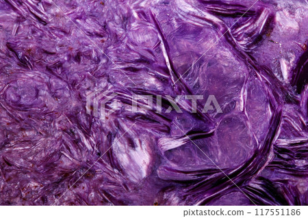 Macro stone mineral Charoite on a white background 117551186