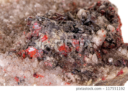 Macro stone Cinnabar with mineral stibnite on a white background Macro stone Cinnabar with mineral stibnite on a white background 117551192