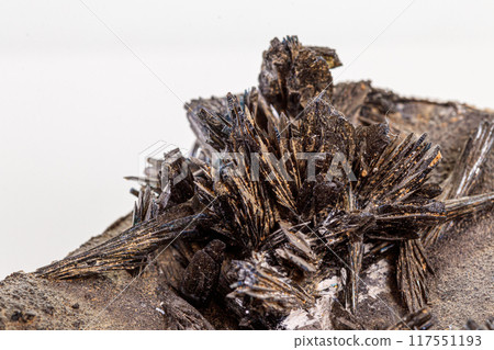 Macro stone Vivianite mineral on white background 117551193