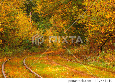 Autumn forest through which an old tram rides (Ukraine) Autumn forest through which an old tram rides (Ukraine) 117551210