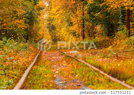 Autumn forest through which an old tram rides (Ukraine) 117551211