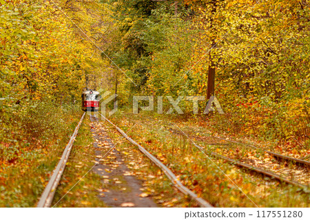 Autumn forest through which an old tram rides (Ukraine) Autumn forest through which an old tram rides (Ukraine) 117551280