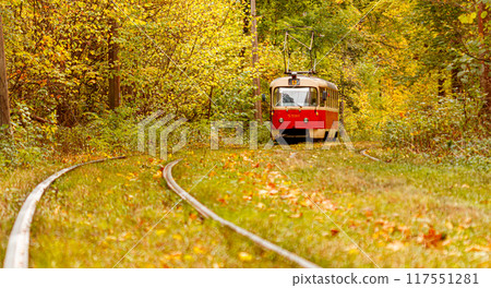 Autumn forest through which an old tram rides (Ukraine) 117551281
