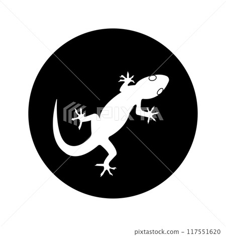 lizard illustration icon 117551620