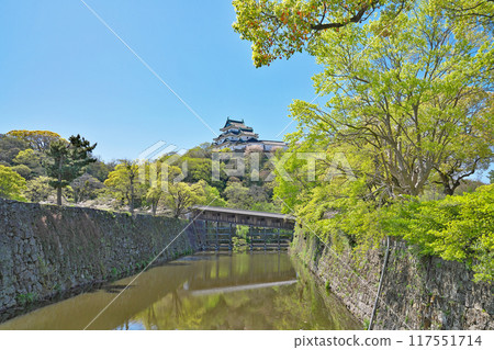 [和歌山城（大橋迴廊）] 和歌山縣和歌山市 117551714
