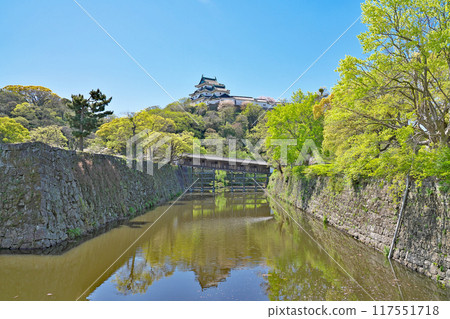 [Wakayama Castle (Obashi Corridor)] Wakayama City, Wakayama Prefecture 117551718