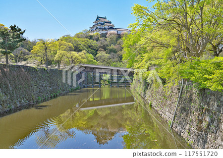 [Wakayama Castle (Obashi Corridor)] Wakayama City, Wakayama Prefecture 117551720