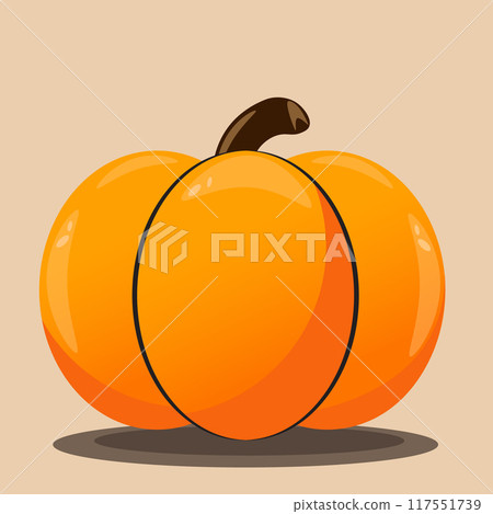 Orange fall pumpkin with brown tail on orange background. Autumn illustration Orange fall pumpkin with brown tail on orange background. Autumn illustration 117551739