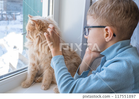 Beautiful scene two friends looking out fo window. Small boy with a cat stares out of window watching falling snow, focus on cat. Beautiful scene two friends looking out fo window. Small boy with a cat stares out of window watching falling snow, focus on cat. 117551897