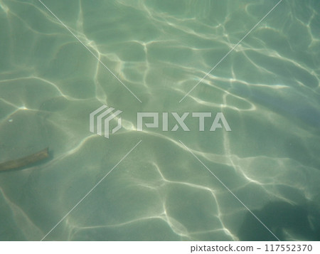 大海的脈搏 117552370