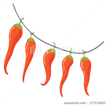 Red peppers hanging on string. Drying vegetables 117552603