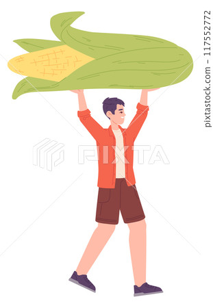 Boy carry big corn ear. Local farm agriculture Boy carry big corn ear. Local farm agriculture 117552772