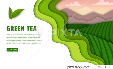 Paper cut tea plantation landing page vector template. Tea green leaves, terraced hills, farm fields and gardens, mountains, sky and clouds landscape web banner with 3d paper cut wavy green borders 117553125