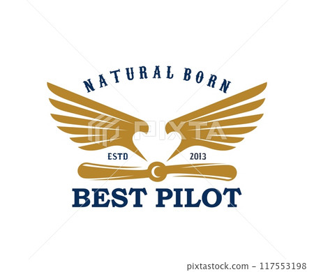 Airplane and aircraft icon for aviation or best pilot with natural born quote, vector emblem. Airplane propeller with eagle bird wings for t shirt print for air crew, aviation academy or pilot school Airplane and aircraft icon for aviation or best pilot with natural born quote, vector emblem. Airplane propeller with eagle bird wings for t shirt print for air crew, aviation academy or pilot school 117553198