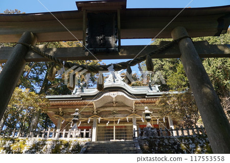 Tamaki Shrine/Torii 117553558