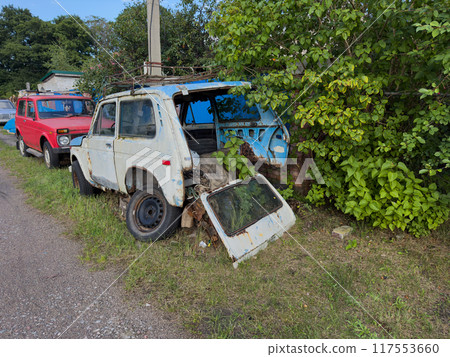 Abandoned rusty car alongside overgrown vegetation in rural area 117553660