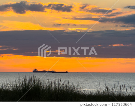 Cargo ship sailing at sunset near grass-covered beach Cargo ship sailing at sunset near grass-covered beach 117553664