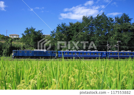 The EL Gunma Yokokawa train runs away under the watchful eye of growing rice and the summer sky. Photographed on August 17, 2024 117553882