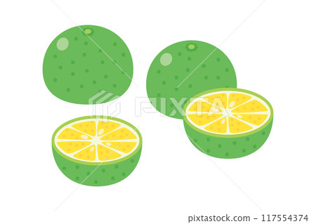 Illustration of mango Illustration of mango 117554374