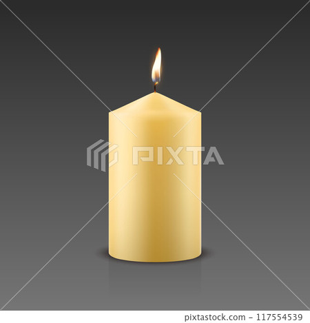 Vector 3D Realistic Paraffin Wax Burning Party Spa Candle and Burning Flame Closeup. Candle, Candle Flame Design Template for Relaxation, Wellness and Celebration Concept, Front View Vector 3D Realistic Paraffin Wax Burning Party Spa Candle and Burning Flame Closeup. Candle, Candle Flame Design Template for Relaxation, Wellness and Celebration Concept, Front View 117554539