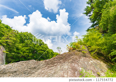 Forest, rocks and blue sky 117554772