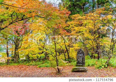 紅葉染紅的新潟楓葉園 117554796