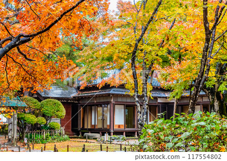 Niigata Maple Garden dyed in autumn colors 117554802