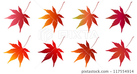 Maple leaves maple leaves 117554914