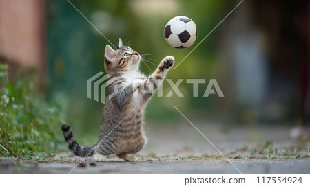 A cat playing with a soccer ball on the ground, AI 117554924