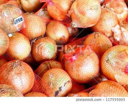 Onions from Hokkaido, placed in nets and displayed in stores Onions from Hokkaido, placed in nets and displayed in stores 117555003
