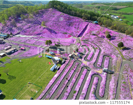 Aerial view of Higashimokoto Shibazakura Park in Ozora Town, Hokkaido 117555174