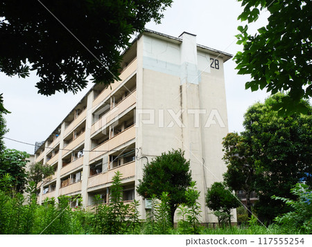綠樹環繞的住宅區 | 東營辰巳住宅區 117555254