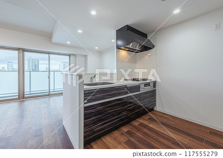 Mansion LDK Mansion LDK 117555279