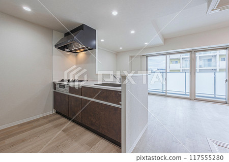 Mansion LDK 117555280