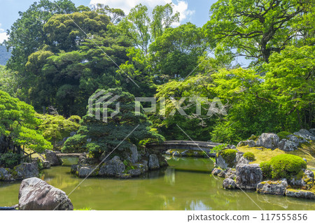 京都，醍醐寺分寺，三寶院，美麗的三寶院花園 117555856