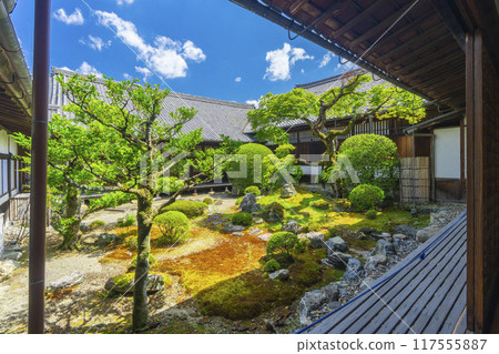 京都，醍醐寺分寺，三寶院，美麗的三寶院花園 117555887