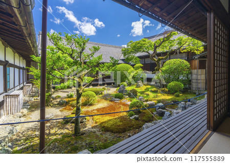 京都，醍醐寺分寺，三寶院，美麗的三寶院花園 117555889