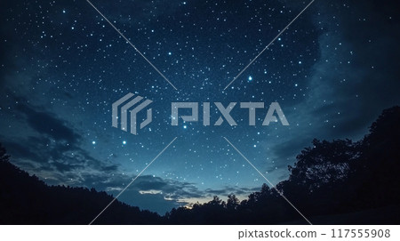 從森林裡看到的夏季銀河 117555908